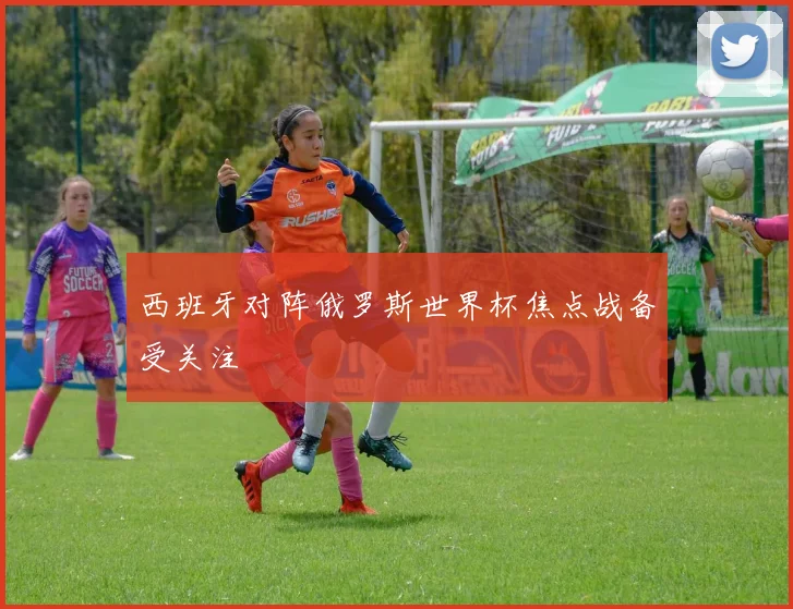 西班牙对阵俄罗斯世界杯焦点战备受关注