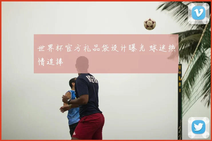 世界杯官方礼品袋设计曝光 球迷热情追捧